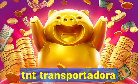 tnt transportadora